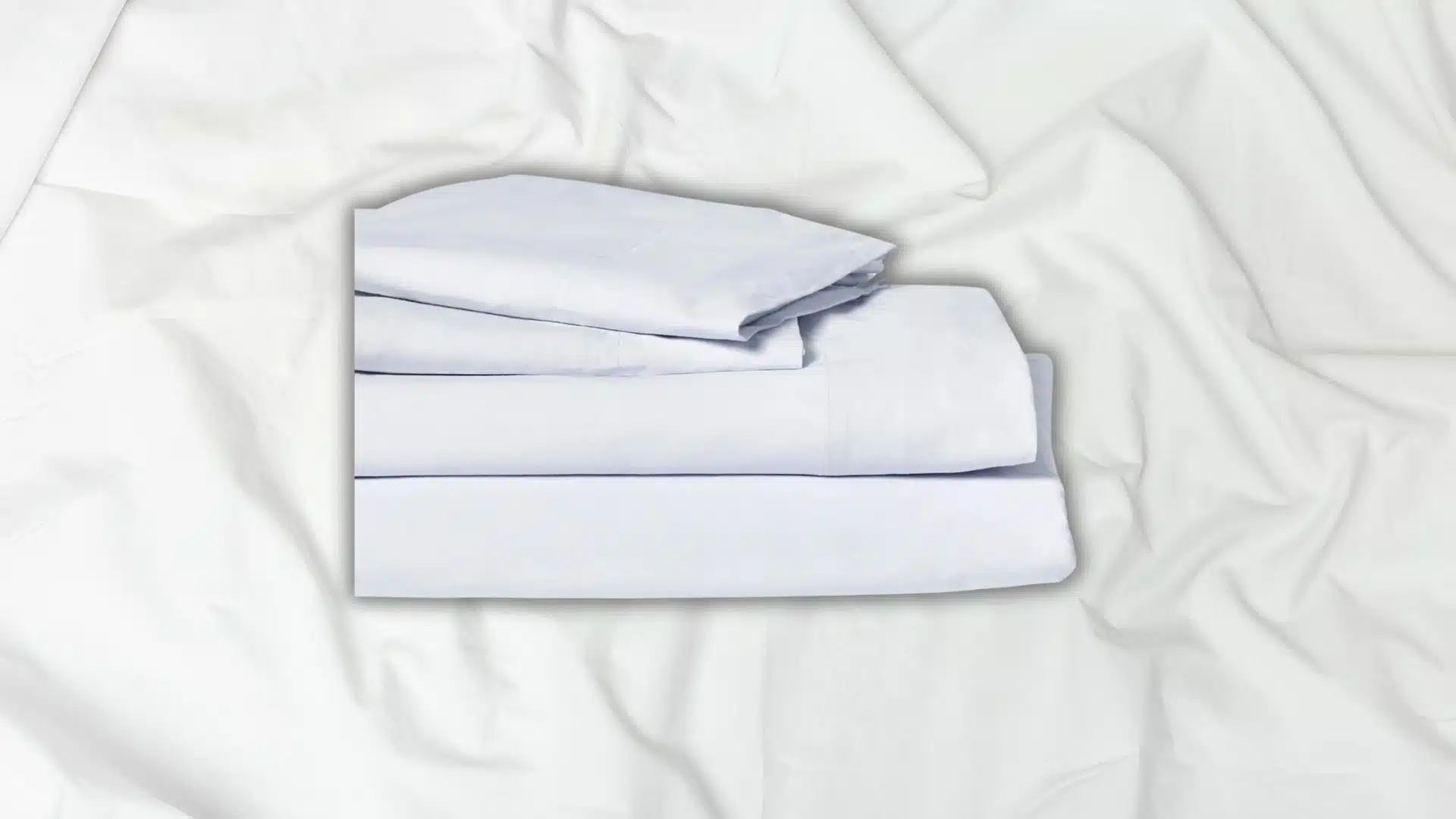 Authenticity50 Signature Sheets