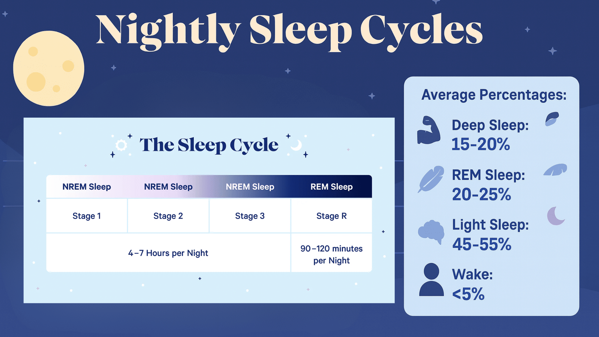 Core Sleep vs. Other Sleep Stages- What's the Difference?