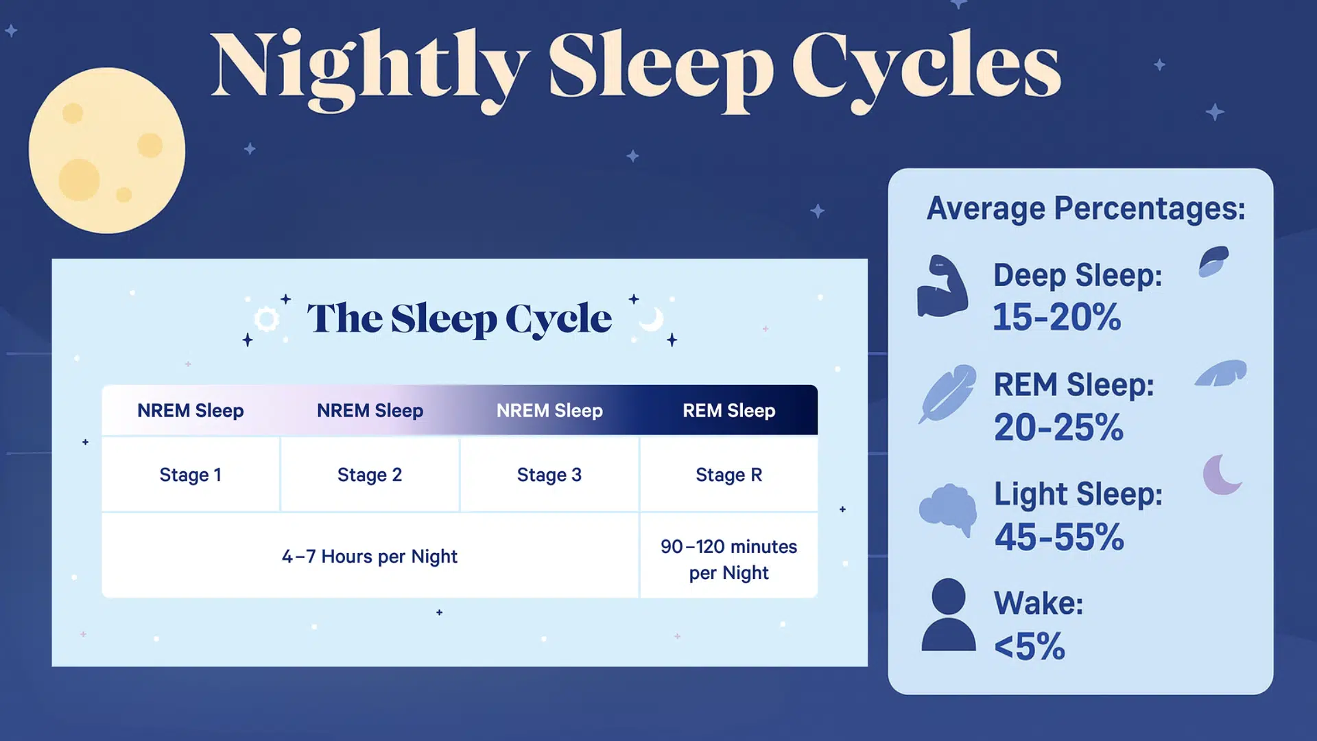 Core Sleep vs. Other Sleep Stages- What's the Difference?