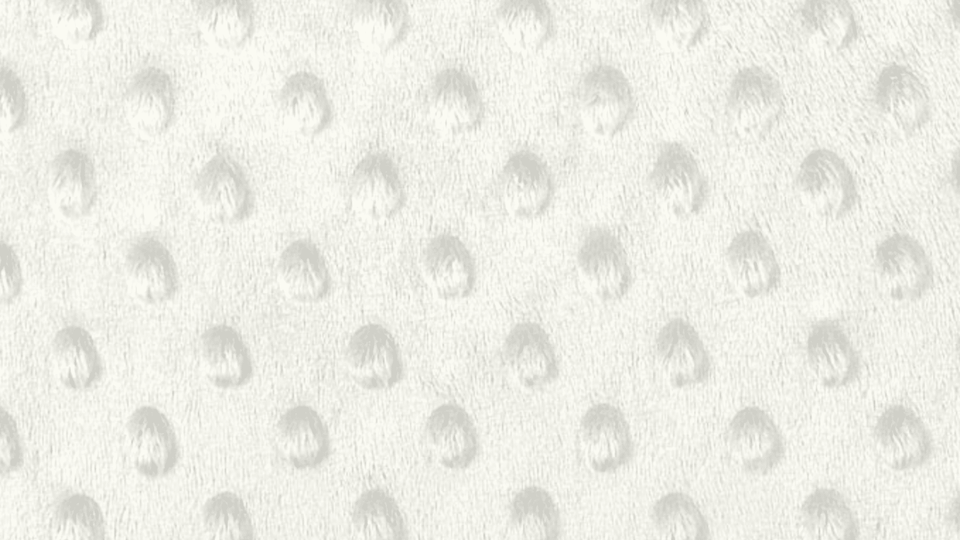 Ivory Minky Dot Fabric