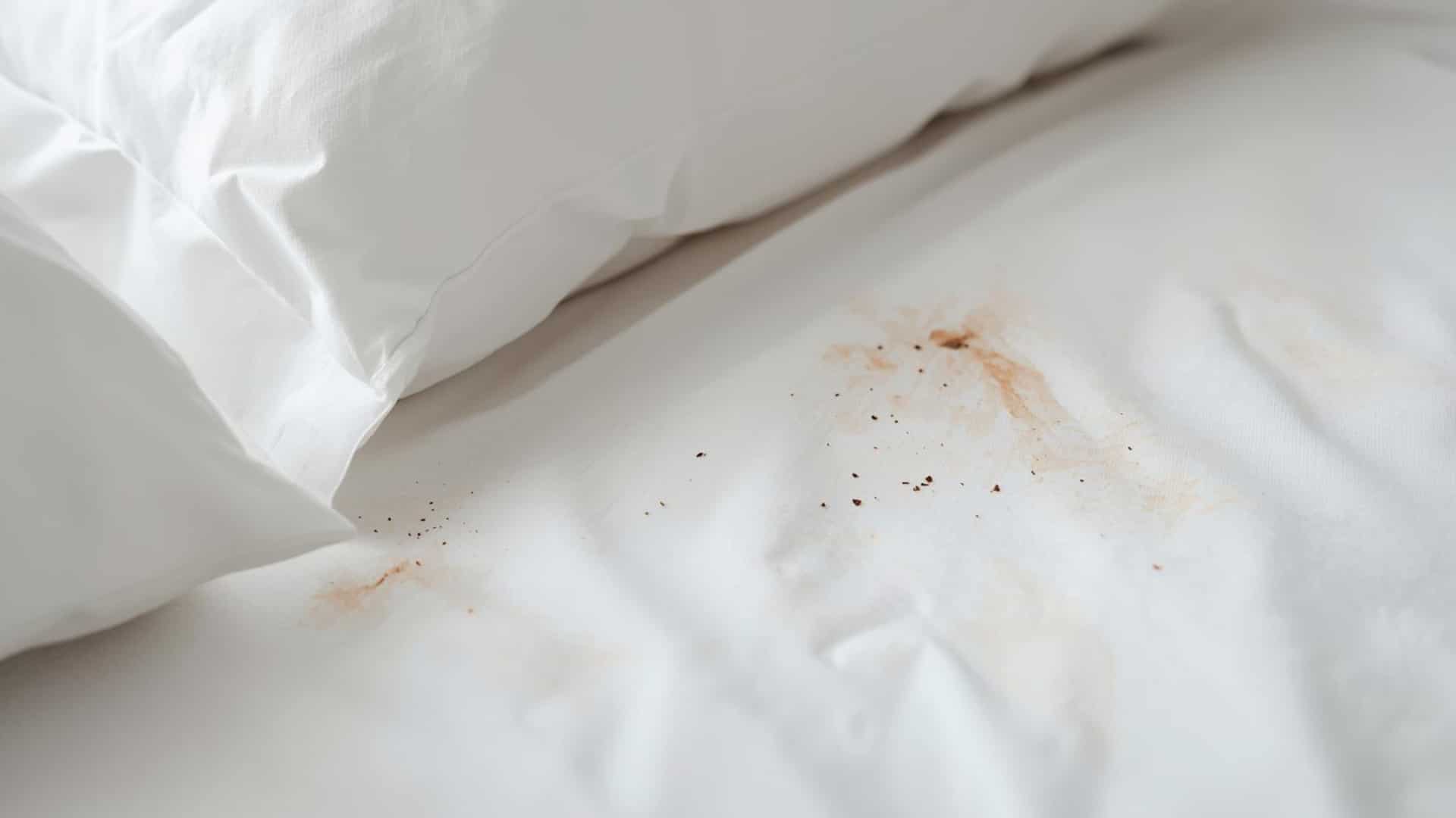 White bed sheets with tiny rusty smears and dark spots near the mattress seam and pillow edge in a bright bedroom.