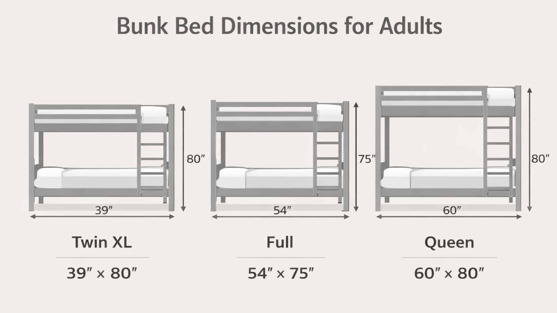 adult bunk bed size infographic showing full, twin XL, and queen dimensions