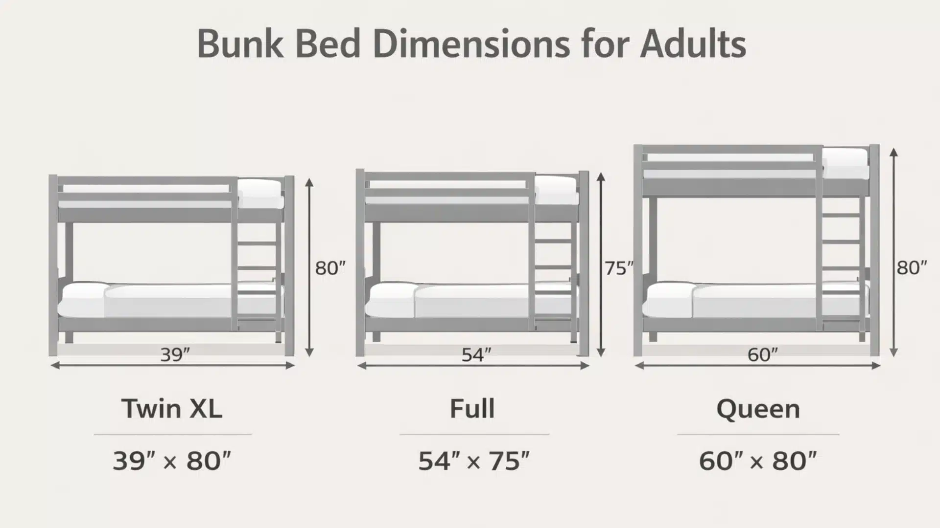 adult bunk bed size infographic showing full, twin XL, and queen dimensions