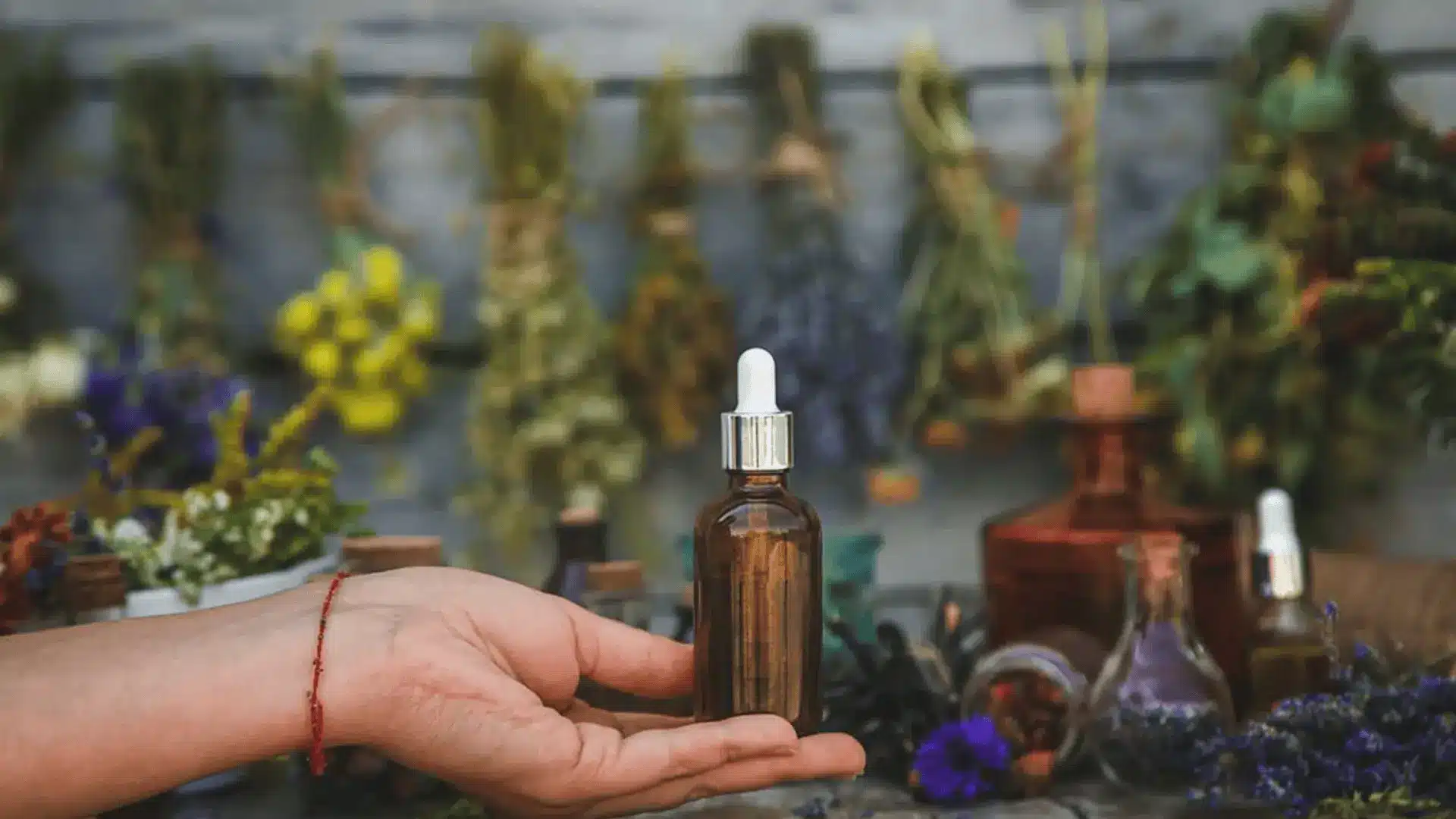 why-smell-matters-to-fleas