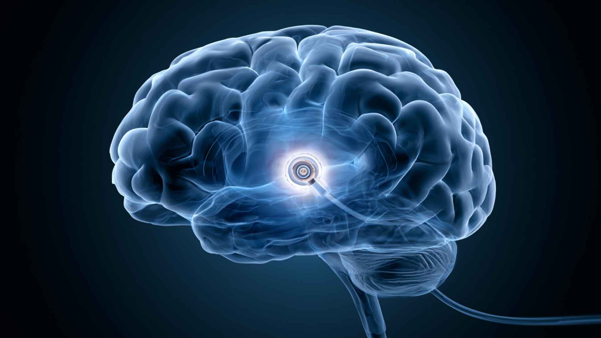 Stylized human brain with glowing neural activity at the center, representing cognition, memory, and neural connections.